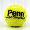 Penn Tennis Balls logo